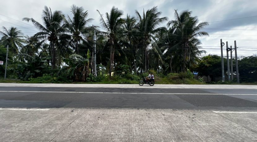 WhatsApp Image 2026-02-19 at 3.36.27 PM