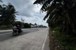 WhatsApp Image 2026-02-19 at 3.36.28 PM