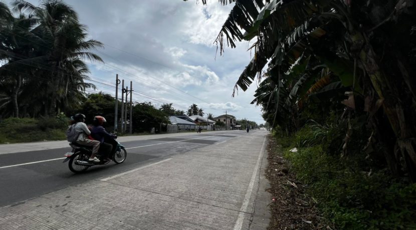 WhatsApp Image 2026-02-19 at 3.36.28 PM