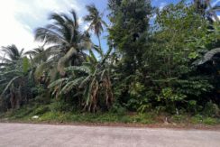 WhatsApp Image 2026-02-19 at 3.36.29 PM (1)