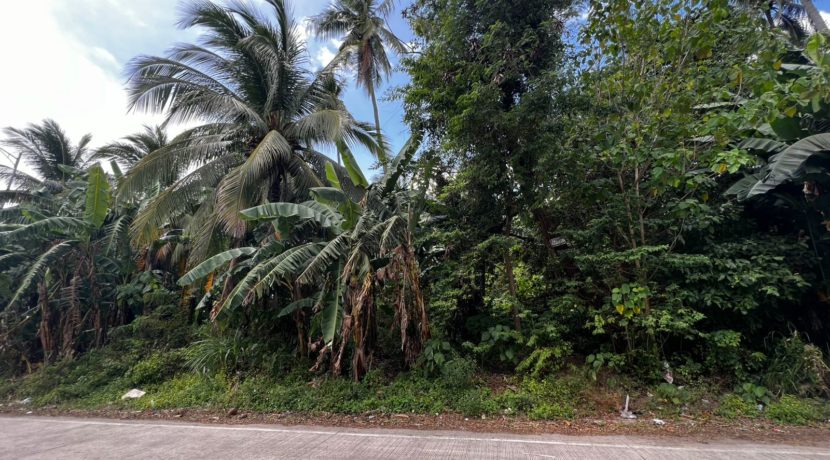 WhatsApp Image 2026-02-19 at 3.36.29 PM (1)