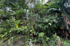 WhatsApp Image 2026-02-19 at 3.36.29 PM (2)