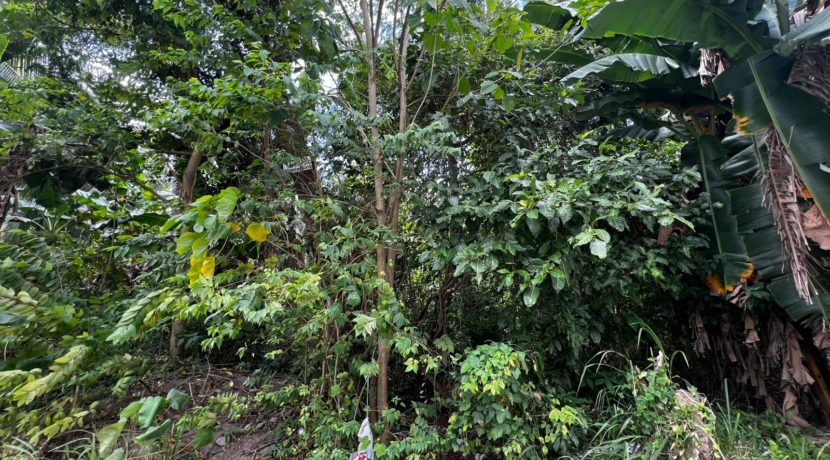 WhatsApp Image 2026-02-19 at 3.36.29 PM (2)