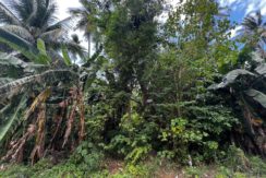 WhatsApp Image 2026-02-19 at 3.36.29 PM