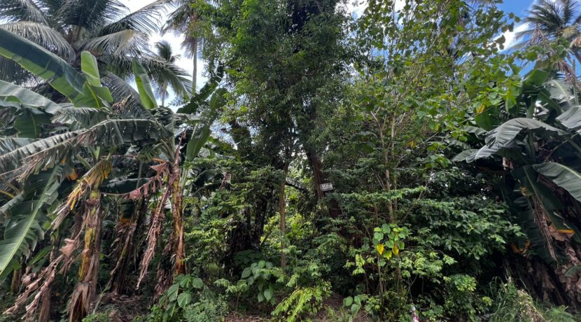 WhatsApp Image 2026-02-19 at 3.36.29 PM