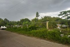 WhatsApp Image 2026-03-16 at 3.27.21 PM