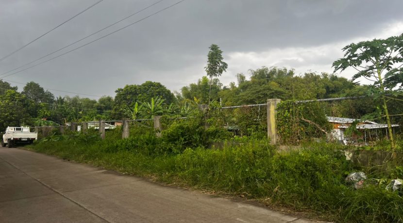 WhatsApp Image 2026-03-16 at 3.27.21 PM