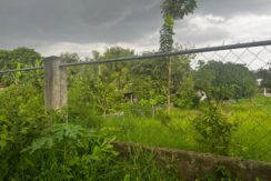 WhatsApp Image 2026-03-16 at 3.27.23 PM (1)