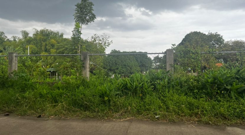 WhatsApp Image 2026-03-16 at 3.27.23 PM