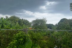 WhatsApp Image 2026-03-16 at 3.27.24 PM (2)