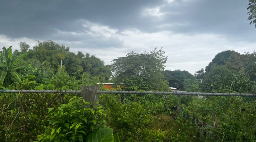 WhatsApp Image 2026-03-16 at 3.27.24 PM (2)