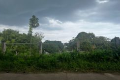 WhatsApp Image 2026-03-16 at 3.27.24 PM