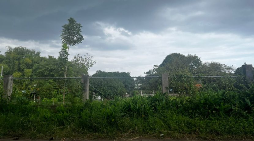 WhatsApp Image 2026-03-16 at 3.27.24 PM