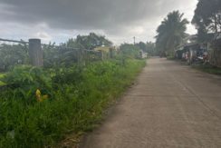 WhatsApp Image 2026-03-16 at 3.27.25 PM (1)