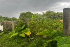 WhatsApp Image 2026-03-16 at 3.27.25 PM (2)