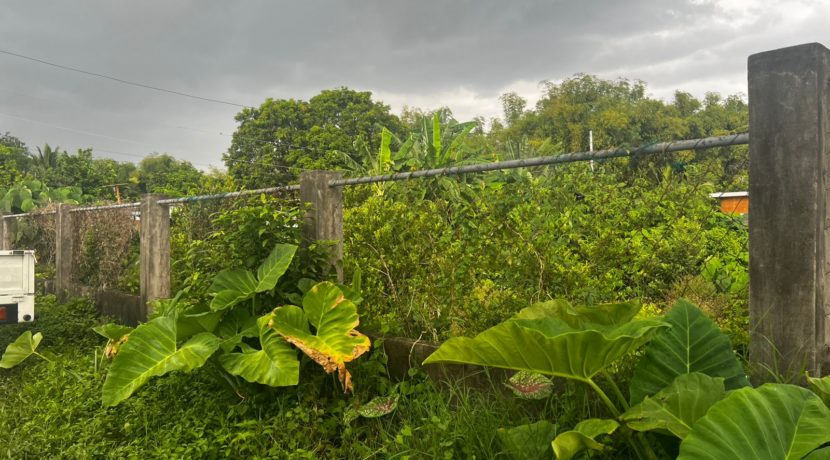 WhatsApp Image 2026-03-16 at 3.27.25 PM (2)