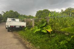 WhatsApp Image 2026-03-16 at 3.27.25 PM