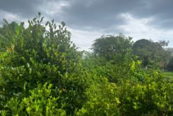 WhatsApp Image 2026-03-16 at 3.27.26 PM