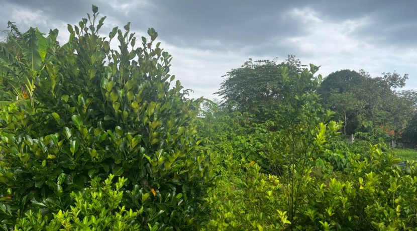 WhatsApp Image 2026-03-16 at 3.27.26 PM