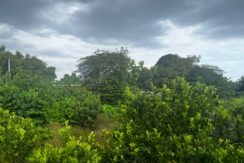 WhatsApp Image 2026-03-16 at 3.27.27 PM