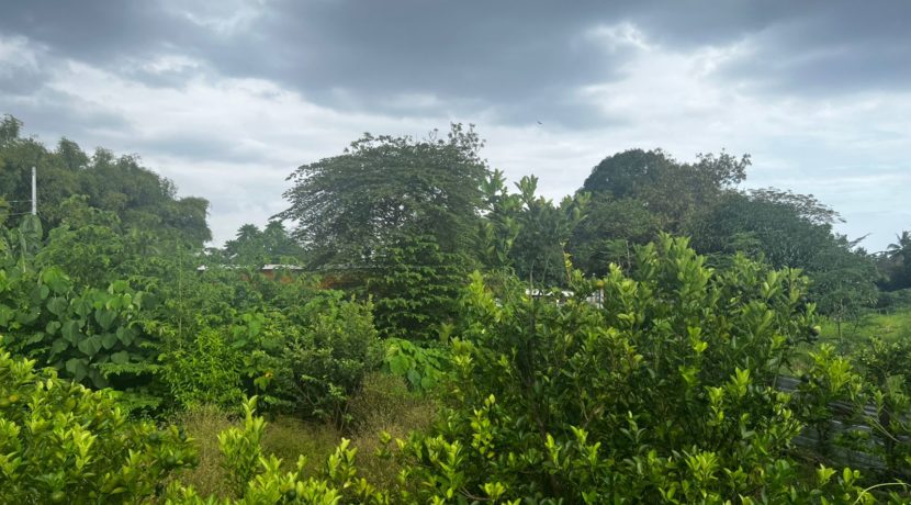 WhatsApp Image 2026-03-16 at 3.27.27 PM