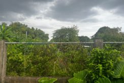 WhatsApp Image 2026-03-16 at 3.27.28 PM (1)