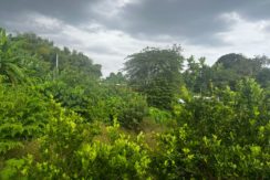 WhatsApp Image 2026-03-16 at 3.27.28 PM