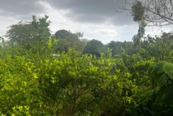 WhatsApp Image 2026-03-16 at 3.27.29 PM