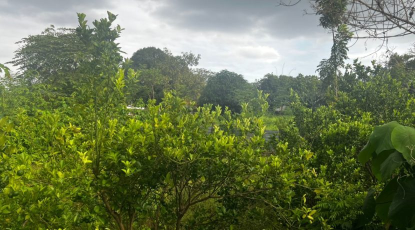 WhatsApp Image 2026-03-16 at 3.27.29 PM