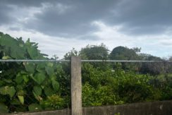 WhatsApp Image 2026-03-16 at 3.27.30 PM