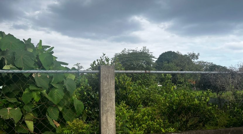 WhatsApp Image 2026-03-16 at 3.27.30 PM