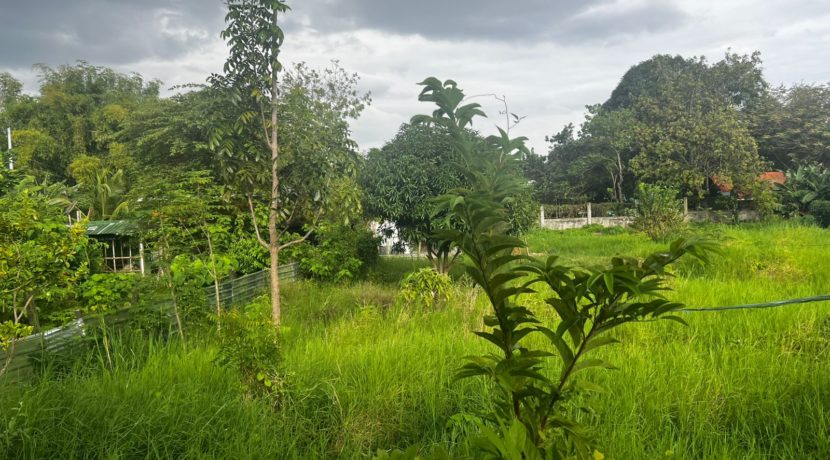 WhatsApp Image 2026-03-16 at 3.27.33 PM (1)