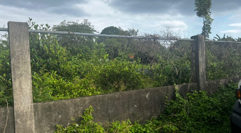 WhatsApp Image 2026-03-16 at 3.27.33 PM