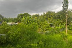 WhatsApp Image 2026-03-16 at 3.27.34 PM