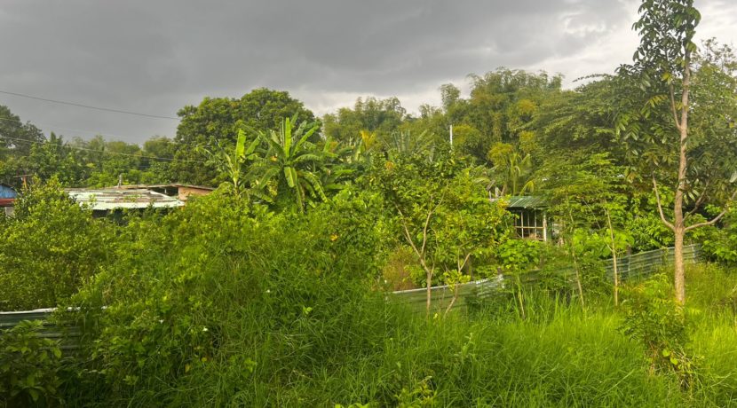 WhatsApp Image 2026-03-16 at 3.27.34 PM