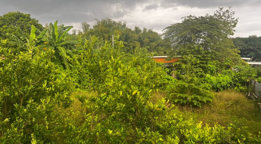 WhatsApp Image 2026-03-16 at 3.28.03 PM