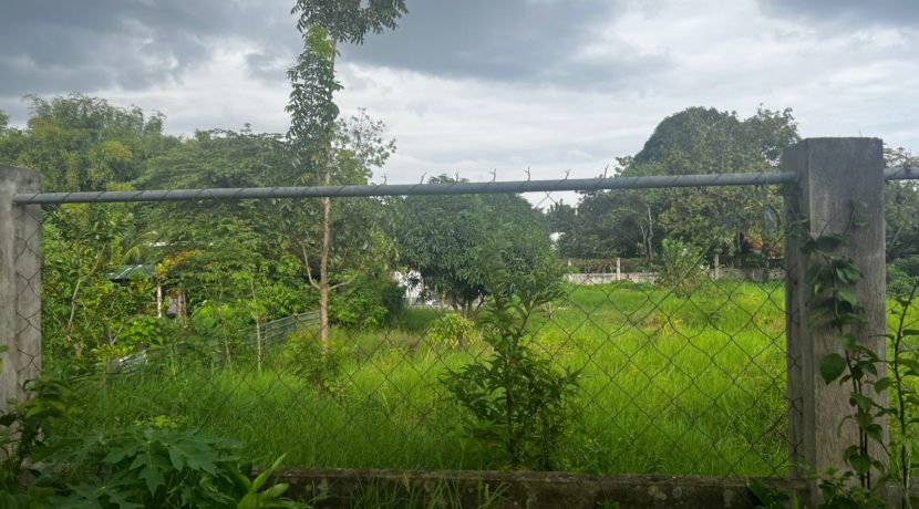 WhatsApp Image 2026-03-16 at 3.28.04 PM (2)