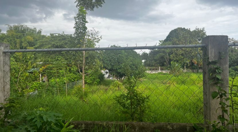 WhatsApp Image 2026-03-16 at 3.28.04 PM (3)