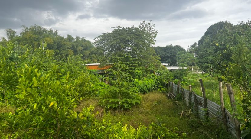 WhatsApp Image 2026-03-16 at 3.28.04 PM