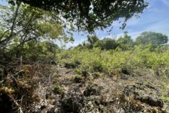 a8722ff1-1019-4c6f-9c25-b7f9c3aa7bdf