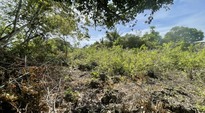 a8722ff1-1019-4c6f-9c25-b7f9c3aa7bdf