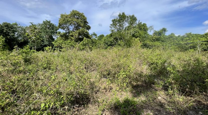 baa3fb03-8076-42f6-bb05-8f36730a9e84