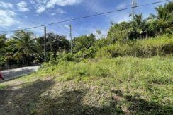 cd5c8385-b02a-4138-879f-6e4a81ac4e83