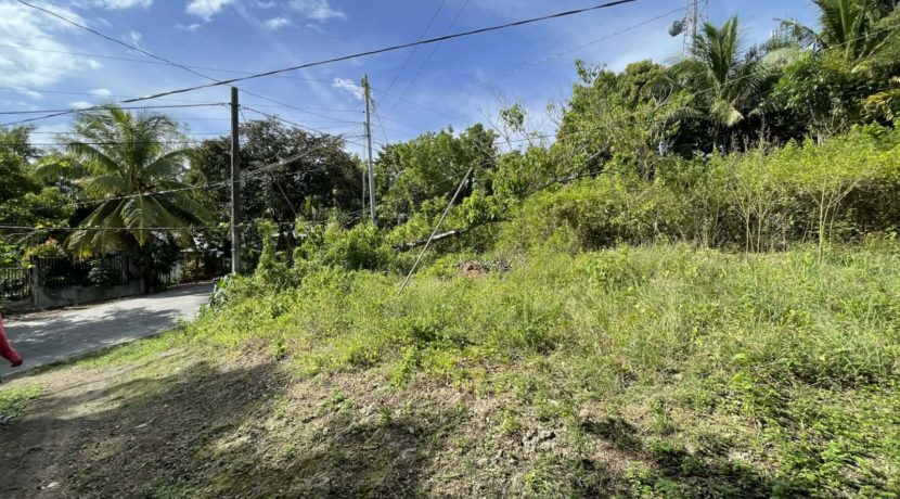 cd5c8385-b02a-4138-879f-6e4a81ac4e83