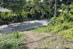 d72c99b6-1426-4b90-8f3f-aa26f9727cd6