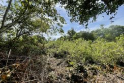 eaf844ba-930f-45a7-8e06-e09c17945125