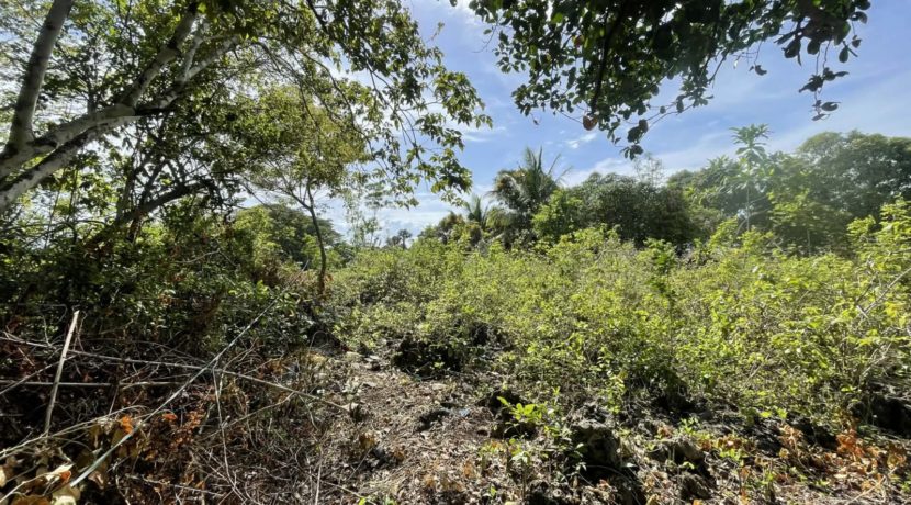 eaf844ba-930f-45a7-8e06-e09c17945125