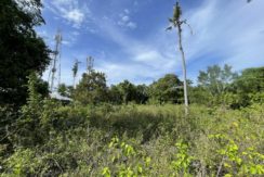 ec284fc5-17c2-4ef6-871a-e3e53439392e