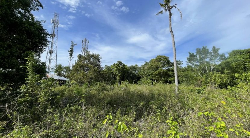 ec284fc5-17c2-4ef6-871a-e3e53439392e