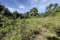 f64b8ded-2726-492a-9218-fcdc7418c5f2